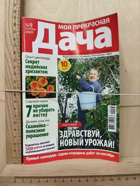 Журнал "Моя прекрасная дача" №9 2009