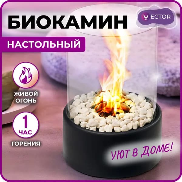Биокамин Напольная, Настольная установка