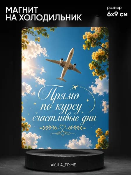 Магнит на холодильник, мотивация, самолет
