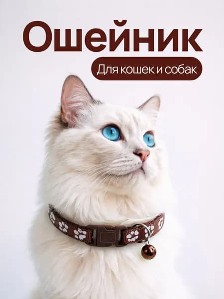 Ошейник с колокольчиком для кошек, котят, собак мелких пород и кроликов