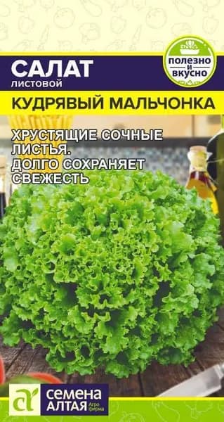Семена Салат Кудрявый Мальчонка/Семена Алтая/цп 0,5 гр.
