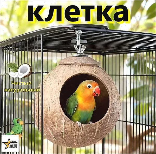 Гнездо для попугая изготовлено из натурального кокоса, диаметр кокоса: 10-13 см, 1 штука
