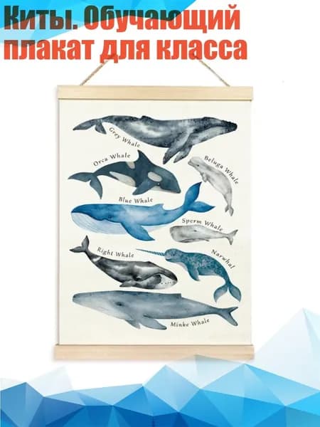 Настенная карта