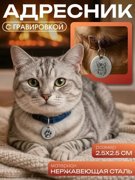 Брелок адресник круглый с гравировкой Абиссинская кошка