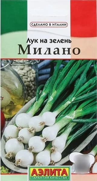 Семена Лук на зелень Милано (0,5г) - Аэлита