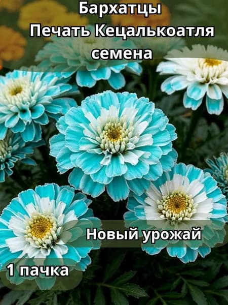 Бархатцы Печать Кецалькоатля, семена 10шт