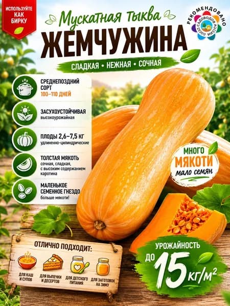 Семена тыквы мускатной на посадку Жемчужина 1г Гавриш