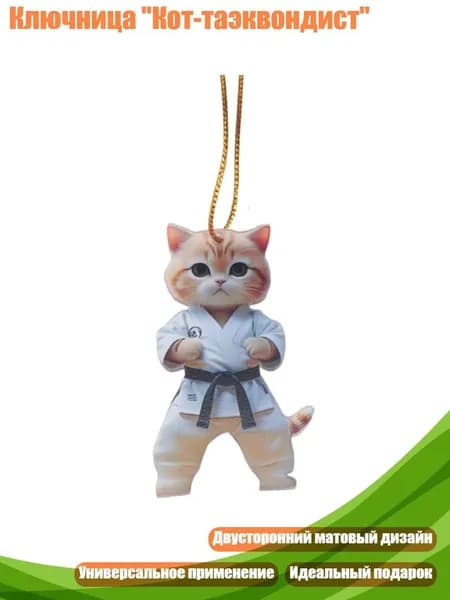 Ключница "Кот-таэквондист", - Стиль3