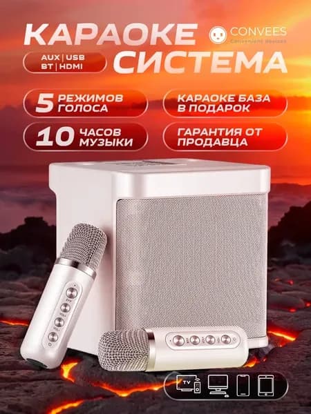 Портативная колонка с караоке