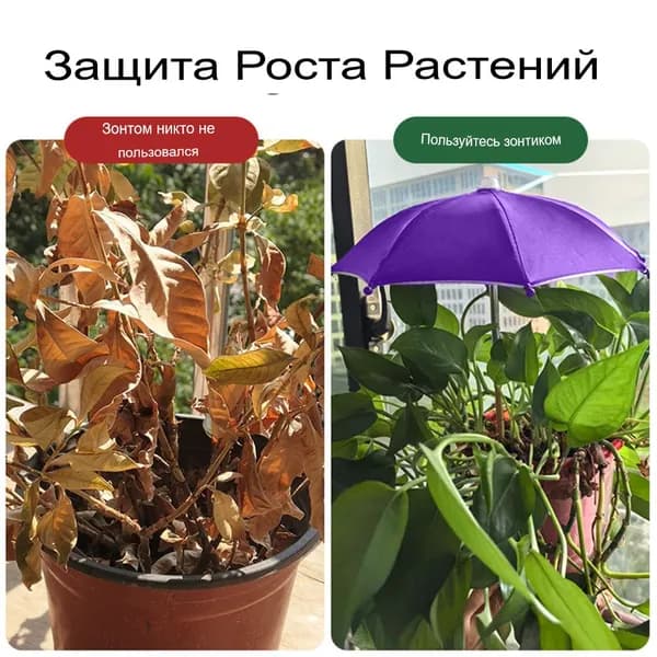 Штекер садовый