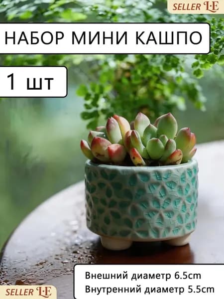 Горшок для цветов 5 см, 1 шт, цвет салатовый