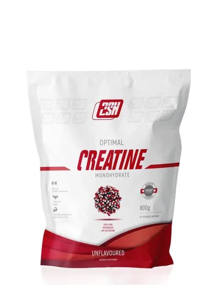 Креатин моногидрат для силы 2SN Creatine powder 800 грамм