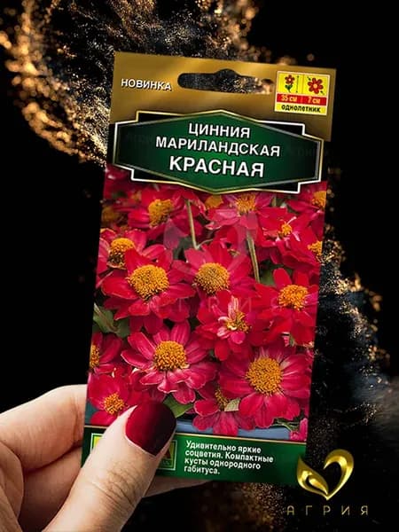 Семена Цинния Мариландская Красная 15 сем