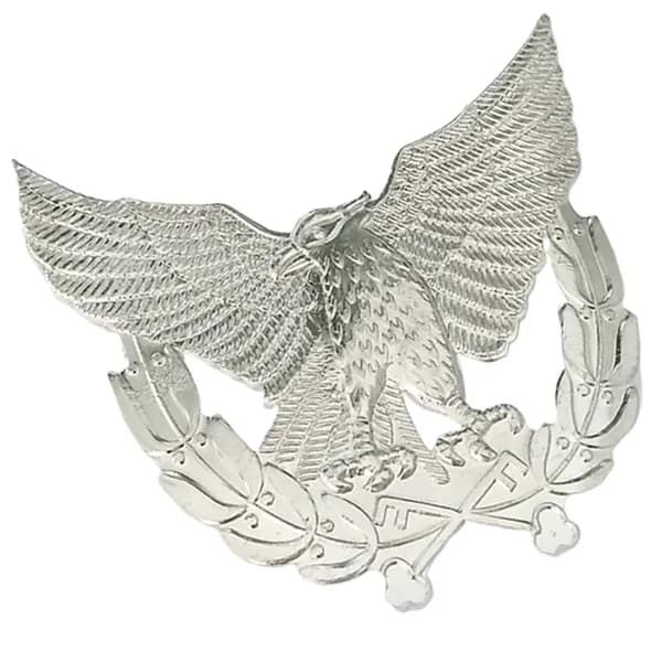 Аксессуары для одежды DIY security hat-Silver Eagle Hat