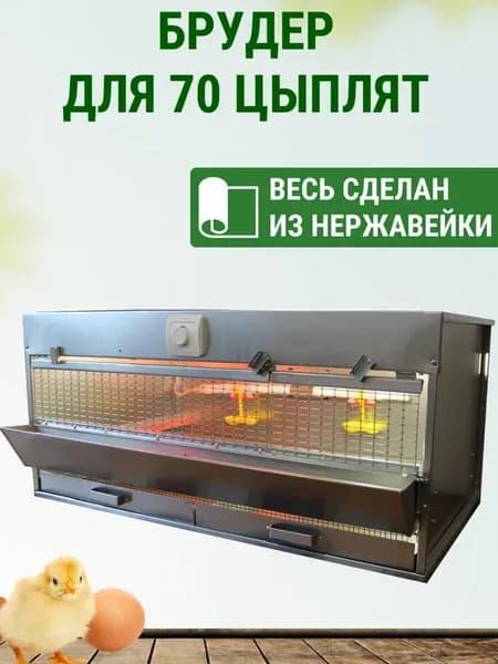 Брудер для цыплят Оптима на 70 голов из нержавейки