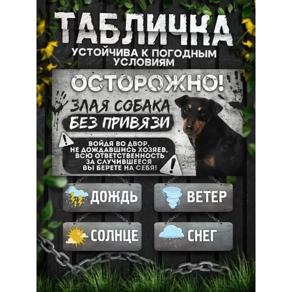 Табличка, на забор, DANGER DOG, Осторожно! Во дворе собака без привязи, Немецкий ягдтерьер, 20x30см