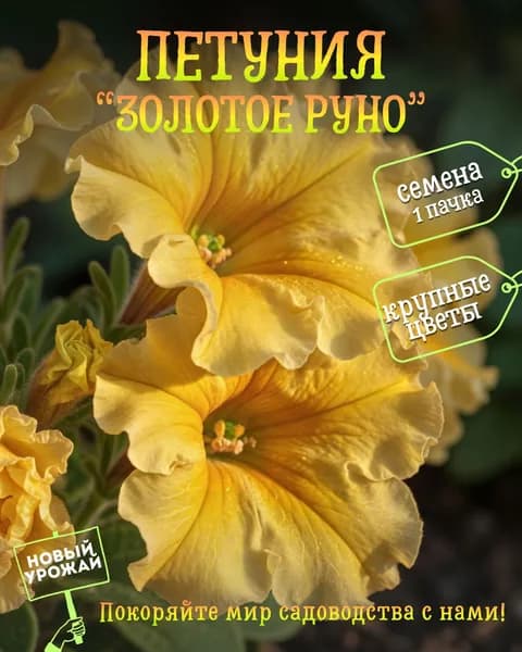 Петуния (махровая) Золотое Руно, семена, 10 шт.