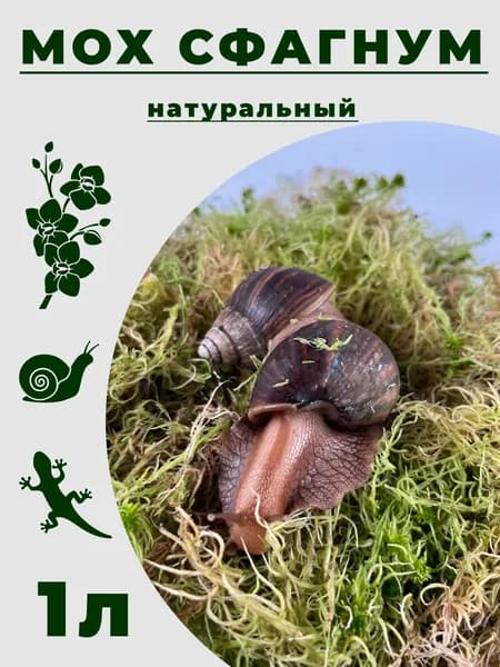 Мох сфагнум натуральный 1 литр. Для растений, террариумов, улиток