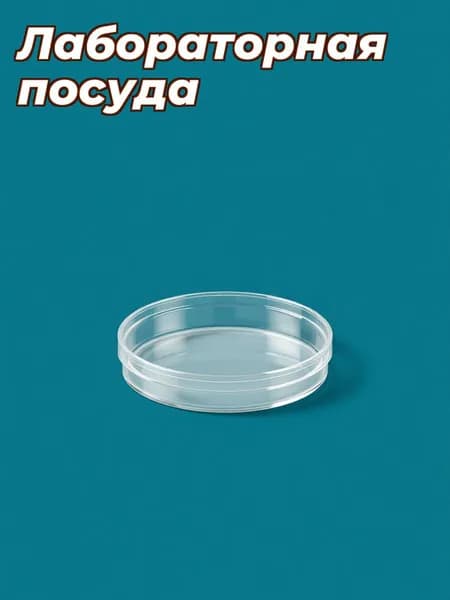 Комплект из 10 прозрачных чаш петри из пластика с крышками для хранения и экспериментов