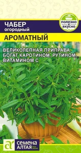 Семена Зелень Чабер Ароматный /Семна Алтая/цп 0,2 гр