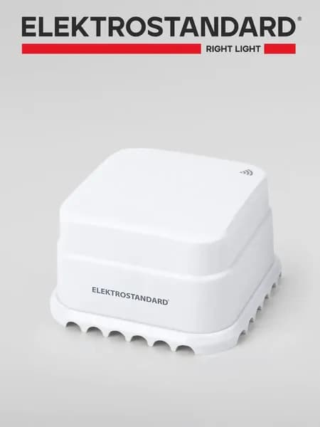 Умный датчик протечки воды Elektrostandard/Minimir Home 76220/00