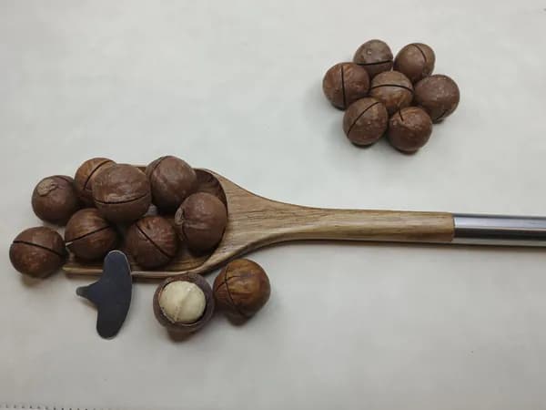 Макадамия орех в скорлупе с ключом
