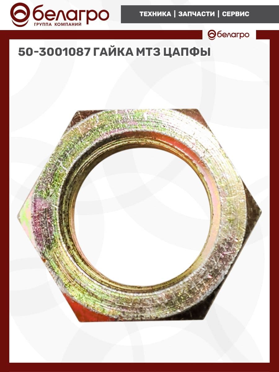 50-3001087 Гайка МТЗ цапфы, (А)