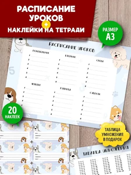 Расписание уроков многоразовое и наклейки для подписи