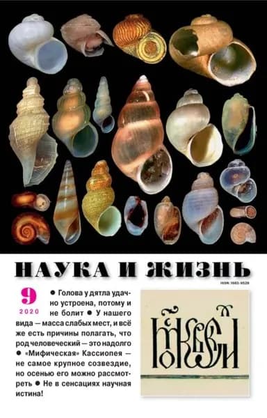 Наука и жизнь No09/2020 | Электронная книга