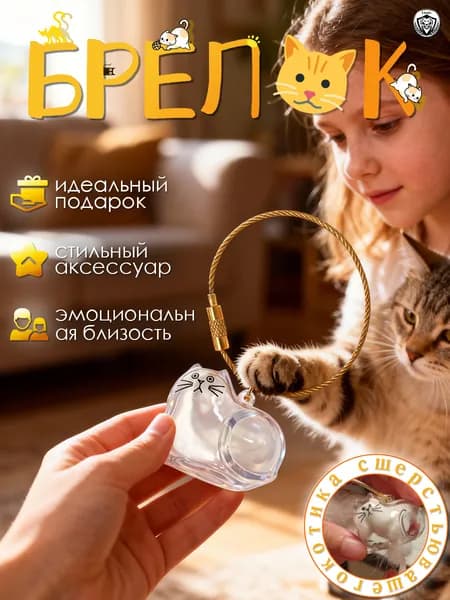 Брелок для ключей с памятью о питомце, подарочный прозрачный кулон с гравировкой кота