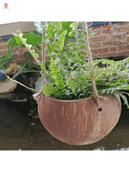 Сосуд винтажный коричневый Горшок