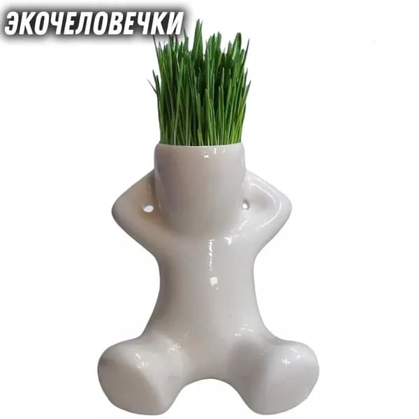 ЭкоЧеловечки Кашпо, набор для выращивания травы