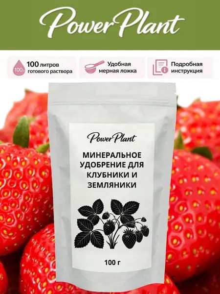 Удобрение для клубники. Подкормка для клубники