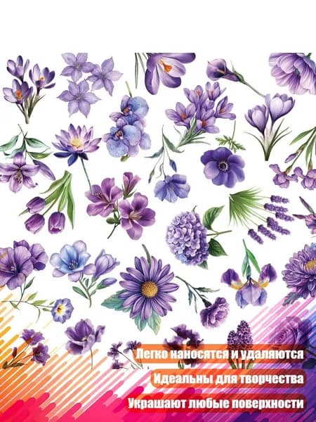 Настенная карта