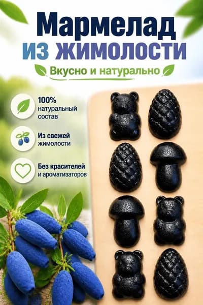 Мармелад из жимолости натуральный, вес 110г, 8 шт, Территория тайги