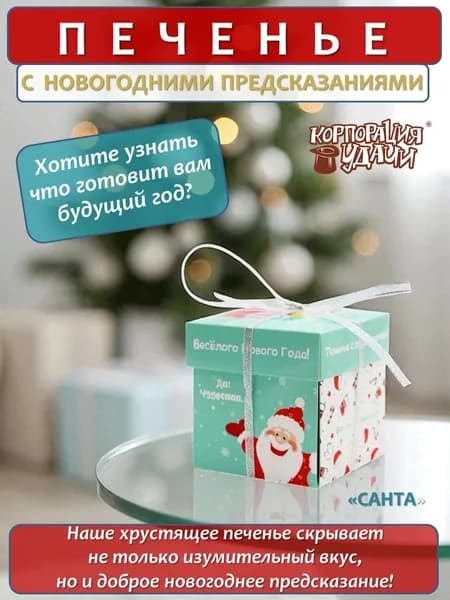 Печенье с новогодними предсказаниями "Санта" 5 штук