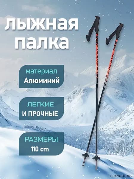 Лыжные палки