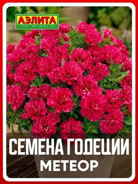 Семена Годеция "Метеор" крупноцветковая 0,05 гр, однолетние цветы для дачи, сада и огорода, клумбы, в открытый грунт, на балкон, в ящик.