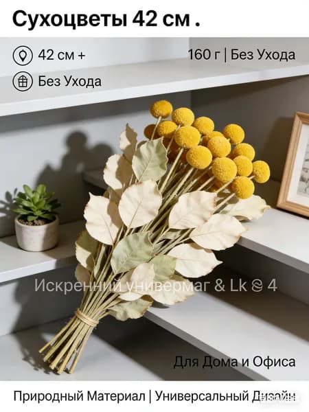 Сухоцветы Краспедия 5.5 см 5 шт желтый