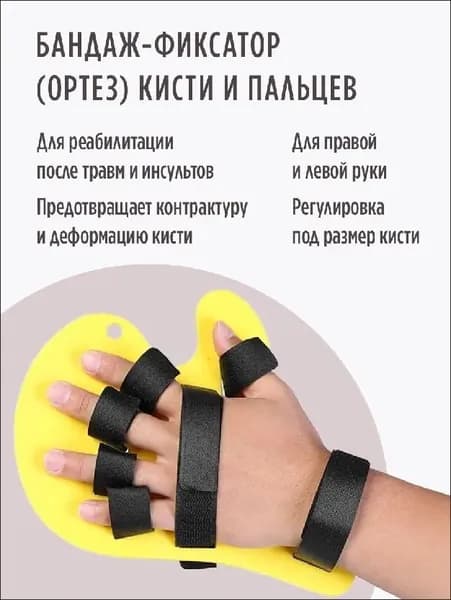 Тренажер для развития реакции 1502083036-nnb