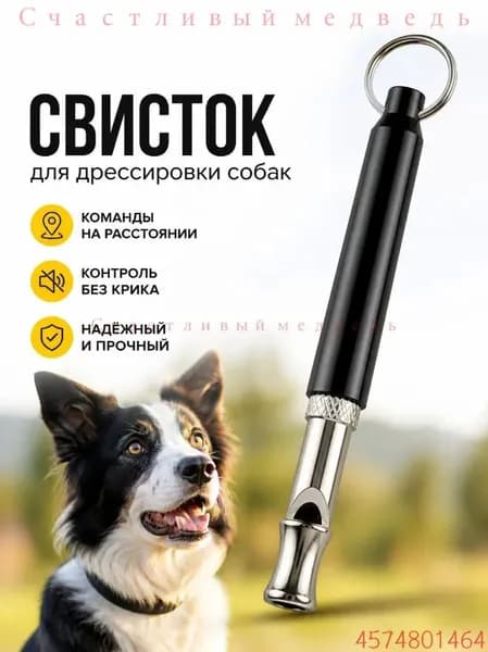 Металлический УЛЬТРАЗВУКОВОЙ бесшумный свисток для дрессировки собак со шнурком,2 Штуки