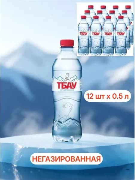 TBAU Вода минеральная природная столовая питьевая негазированная, 6 л ( 12 шт по 0.5 л )