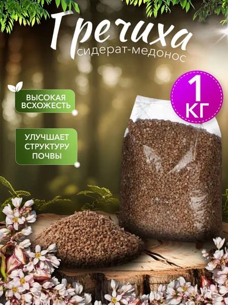 Гречка зеленая для проращивания, для выпечки хлеба и для каши, С Алтайских полей, 1000 грамм