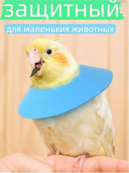 Воротник для птица,Мягкий защитный воротник для маленьких животных