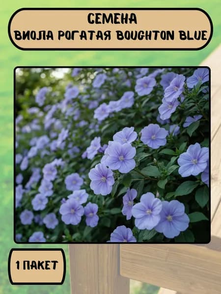 Виола (Анютины глазки) рогатая Boughton Blue, семена 10 шт