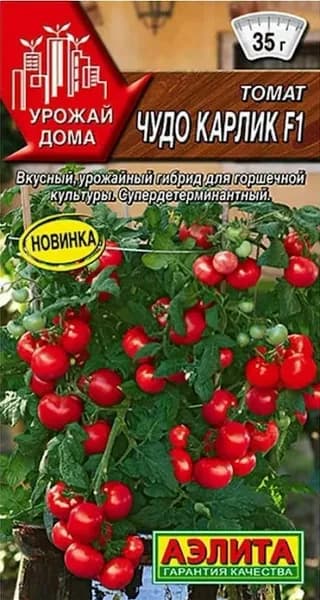 Семена Томат Чудо Карлик F1 (10 семян) - Аэлита. Ультраранний Черри Томат, для подоконника и балкона. Карликовый, сладкий, урожайный гибрид