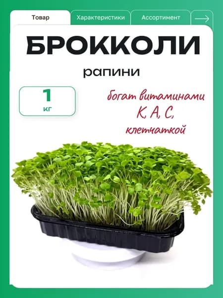 Семена Брокколи Рапини для проращивания микрозелени, 1 кг