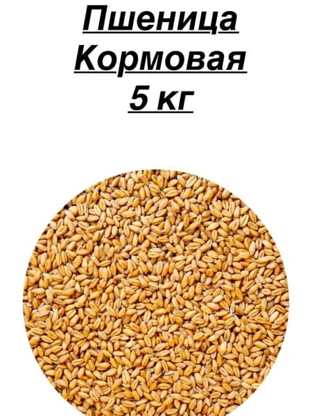 Корм для птиц. Пшеница для с/х птицы 5 кг