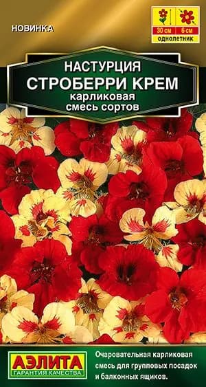 Семена Настурция Строберри Крем карликовая, смесь (1 г) - Аэлита. Карликовая, клубнично-кремовая, для кашпо, балконов, бордюров