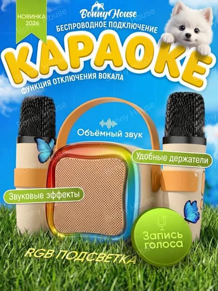 Детская караоке система с двумя беспроводными микрофонами и колонкой